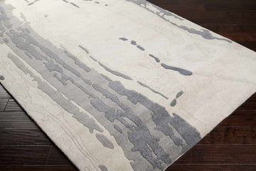 Sasvil Modern Beige Area Rug